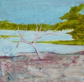 Wilpattu 2