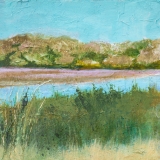 Wilpattu 3